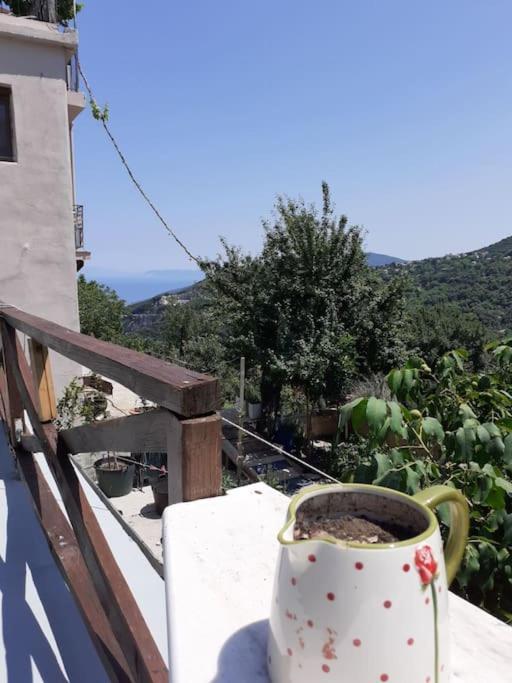 ξυλοπετρα / Wood & Stone House Apartment Tsagarada