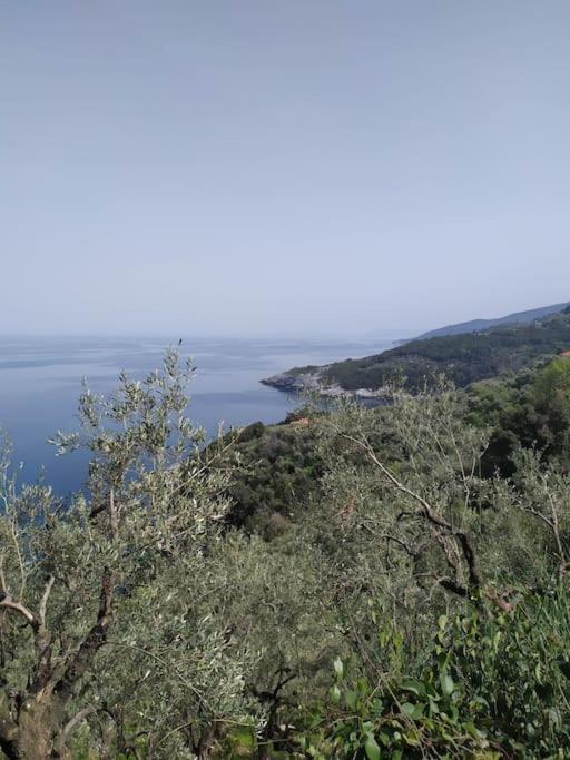 ξυλοπετρα / Wood & Stone House Apartment Tsagarada