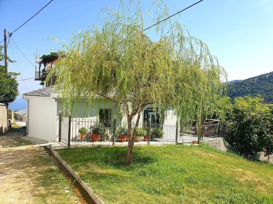 ξυλοπετρα / Wood & Stone House Apartment